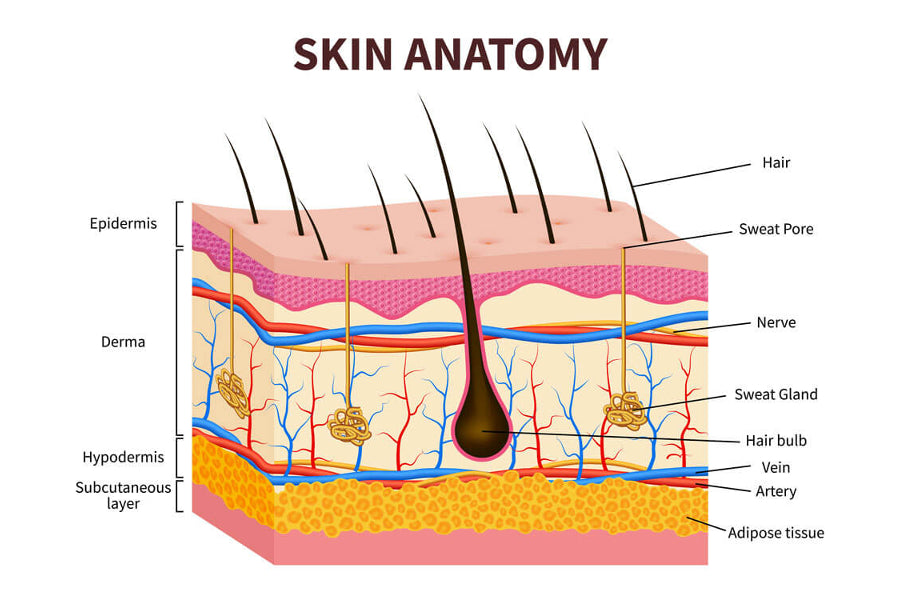 Light Energy for the Treatment of Skin Conditions