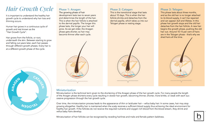 HairMax - Hair Growth & Wellness Guide (Digital Download)